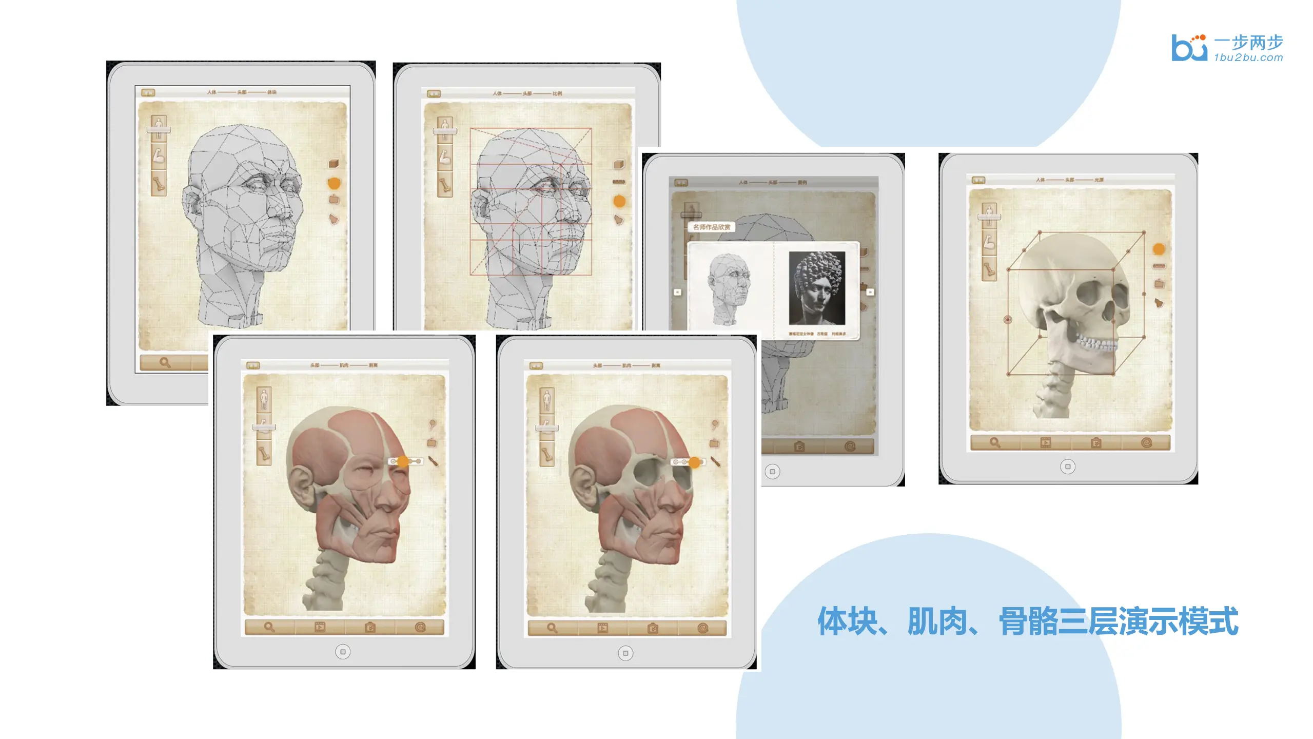 央美艺用人体解剖