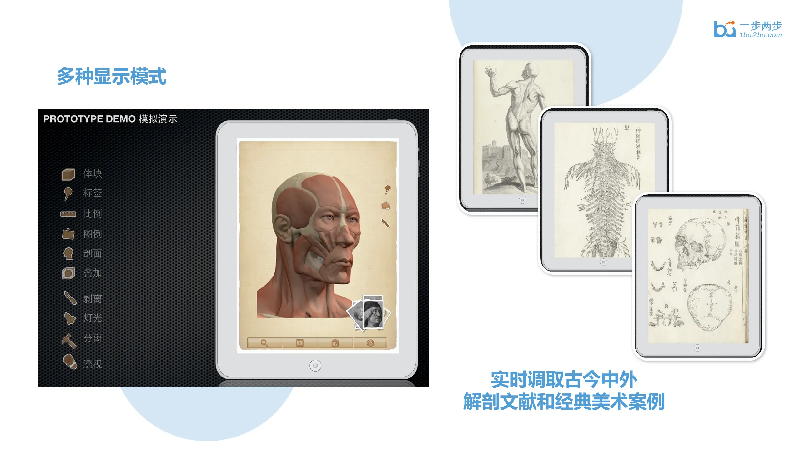 央美艺用人体解剖
